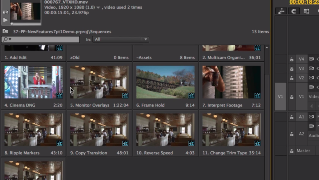 premiere pro sequence view