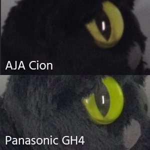 aja-cion-comparison2