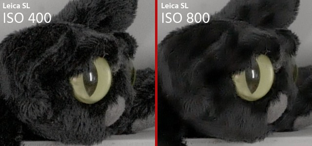 Leica SL Review - Automatic Noise Reduction at ISO 800