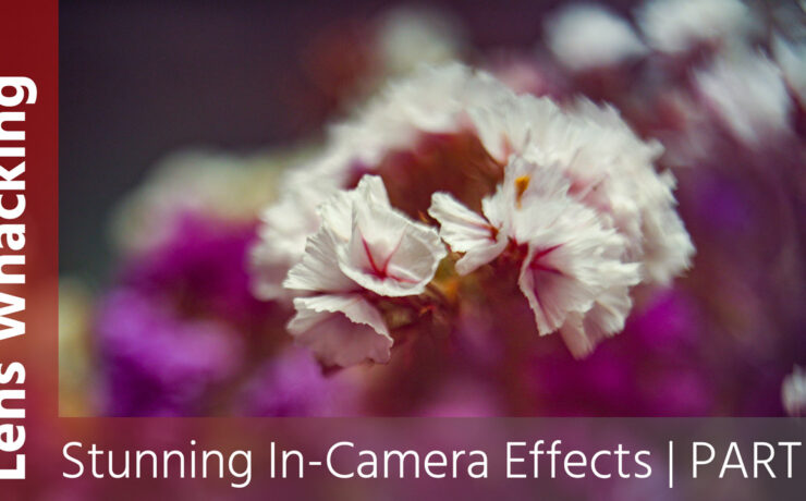 Lens Whacking - How to Create Stunning In-Camera Effects - Part 1