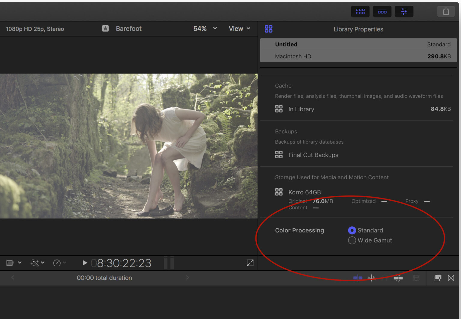 Final Cut Pro X Update - 10.3 First Hands-On Review | CineD