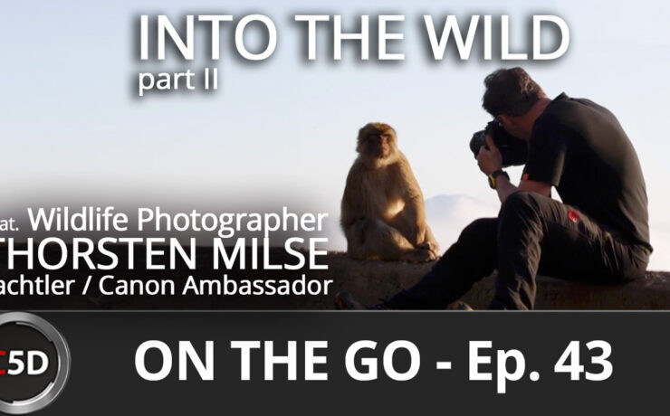 Into the Wild part II - On the Go Ep. 43 - feat. Sachtler & Canon Ambassador Thorsten Milse