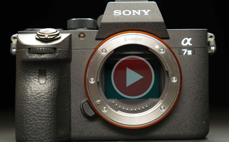 Sony a7 III Announced - Full Frame "Basic Model",  Sample Footage And Interview