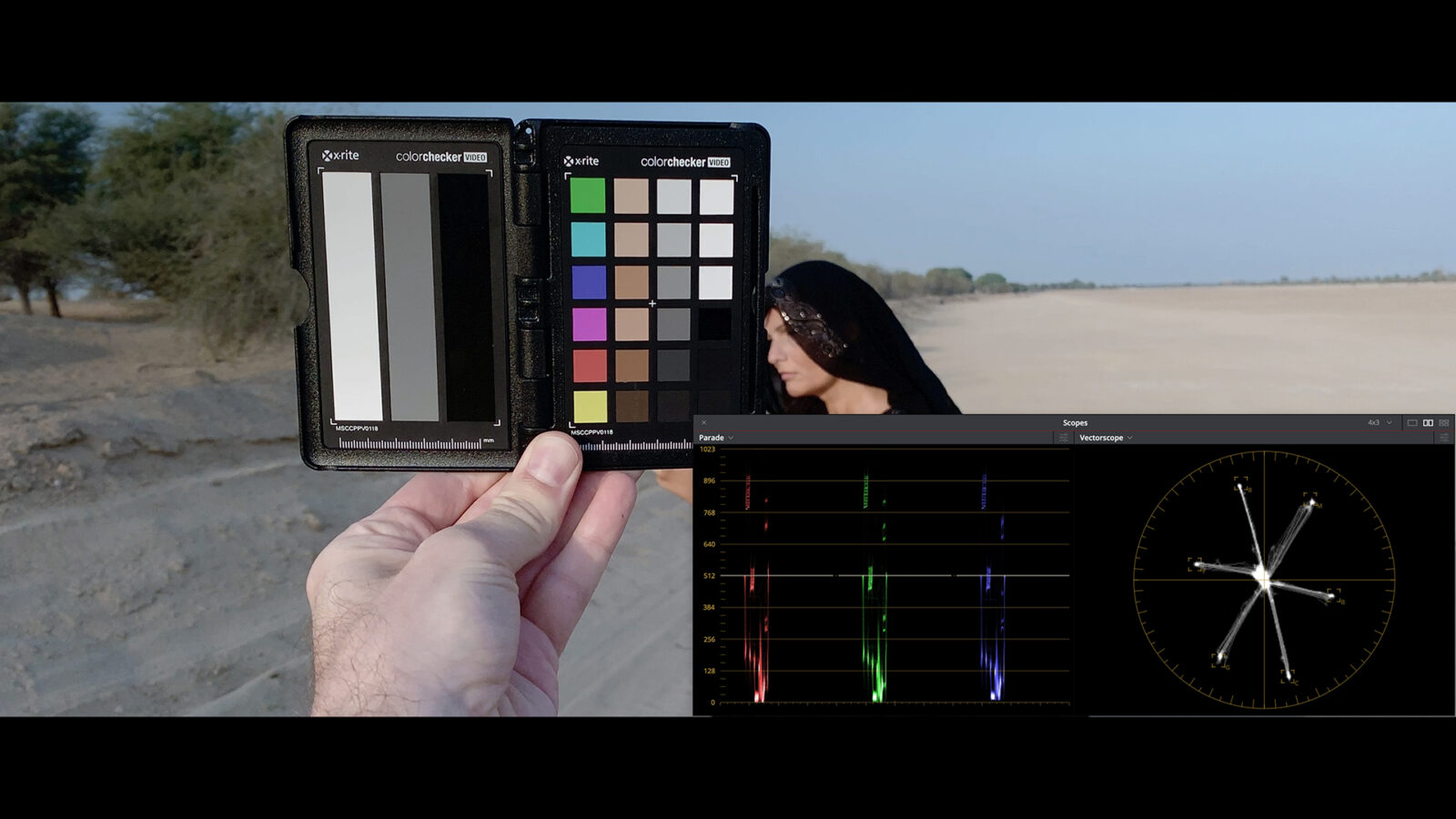 FiLMiC LogV2 First Look - Double Digit Dynamic Range to Your New iPhone
