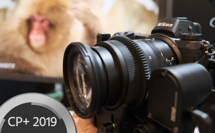 Nikon Z 6 / Z 7  - Focusing on Video Quality, Explained