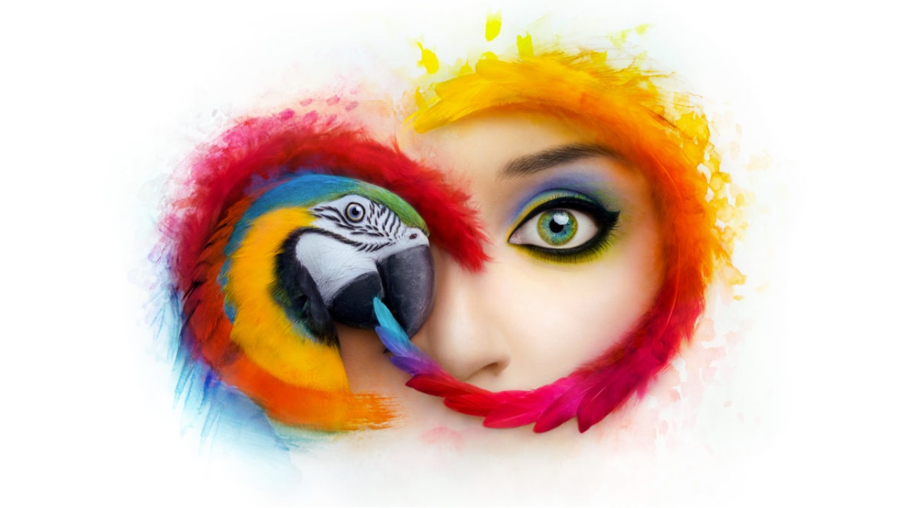 Adobe Changes Availability of Creative Cloud Applications, Concerning?