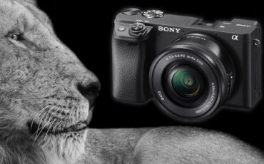 Sony a6400 Firmware 2.0 Enables Real-Time Animal Eye Autofocus