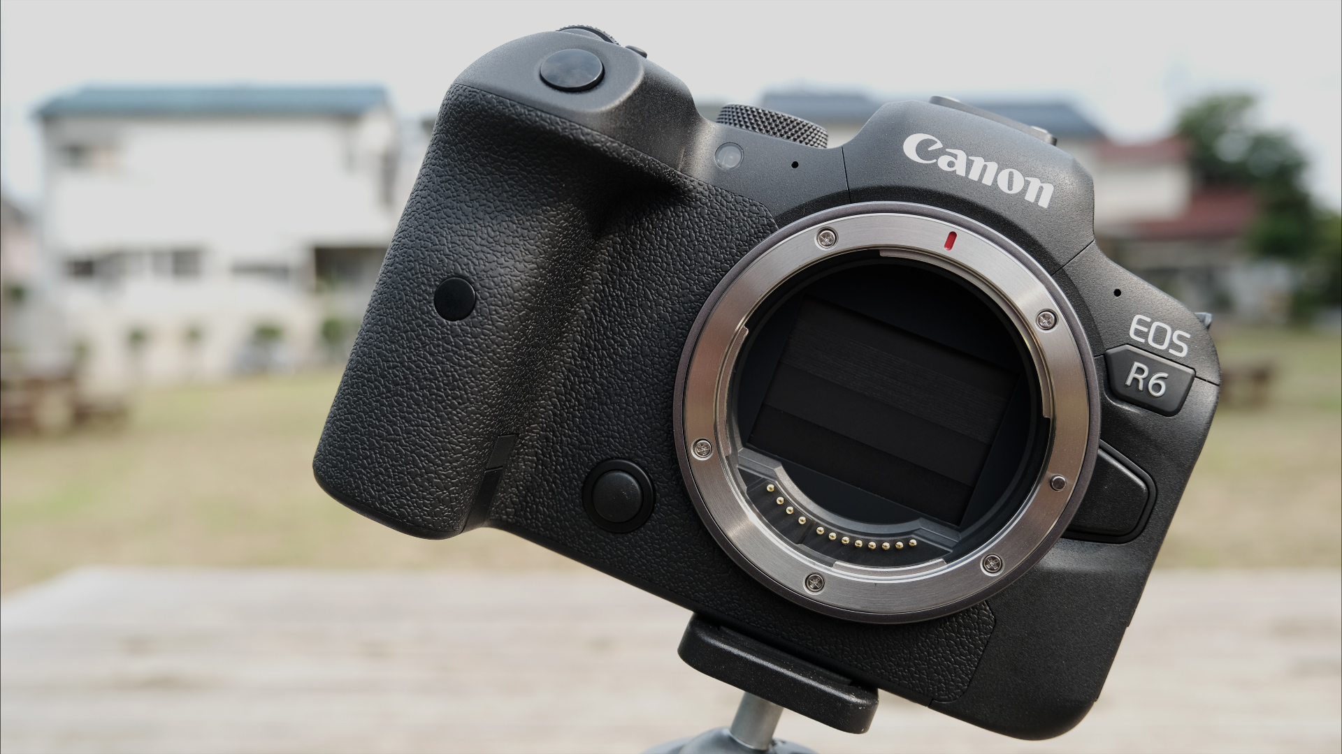 Lanzan el perfil FilmConvert para la Canon EOS R6