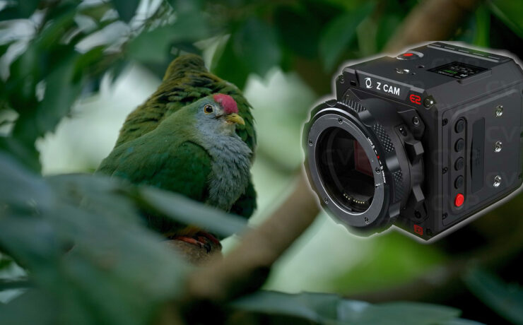 Z CAM E2-F6 Review, Lab Test and Sample Footage: A Visit to the Zoo Schoenbrunn