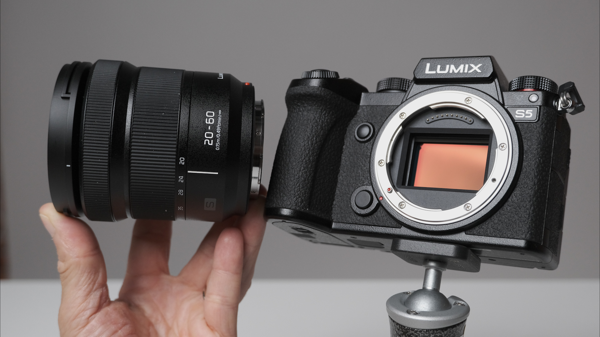 Panasonic LUMIX S5 Review and Sample Footage