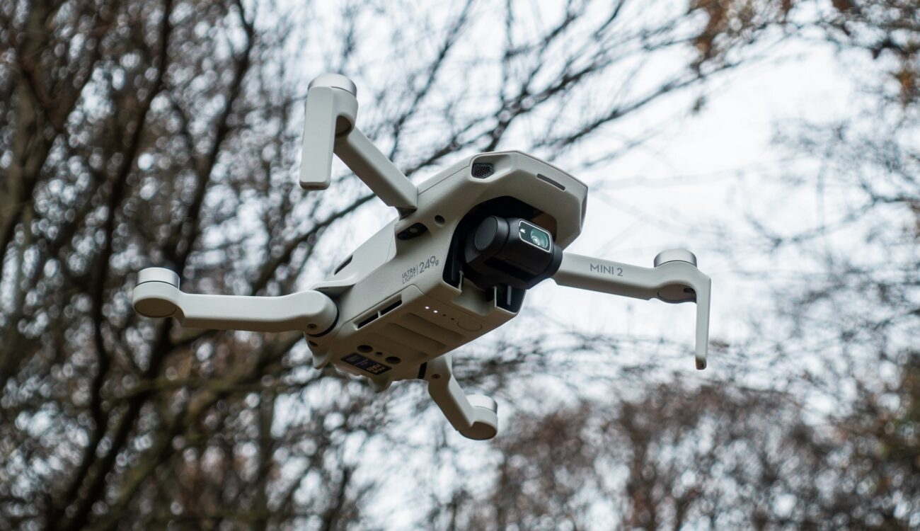 El dron DJI Mini 2 recibió una actualización de firmware que añade video 2.7K60p
