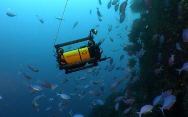 Boxfish Luna - 8K Underwater Drone with Sony Alpha Camera Inside