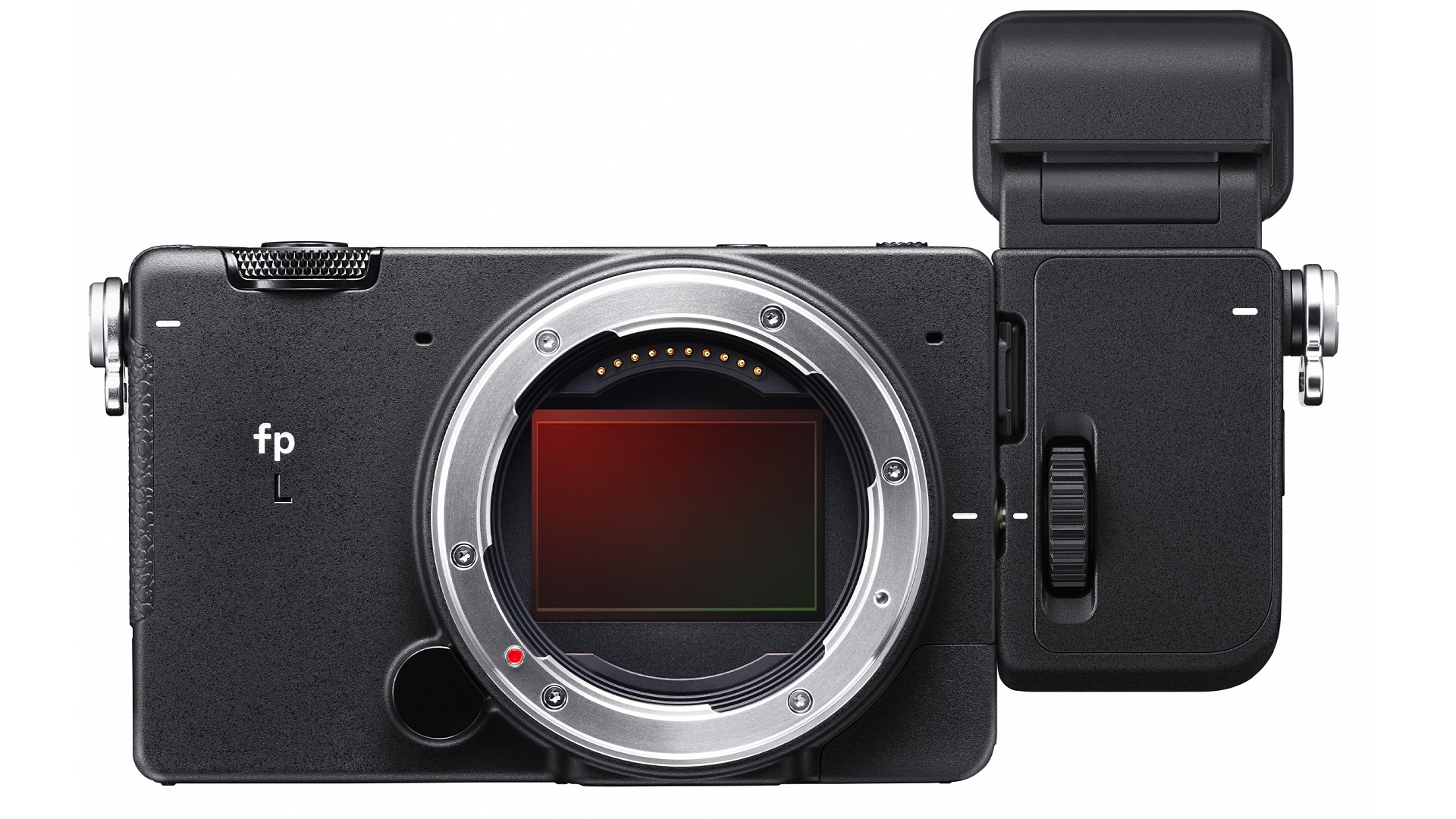 シグマがfp LカメラとEVF-11ビューファインダーを発表 | CineD