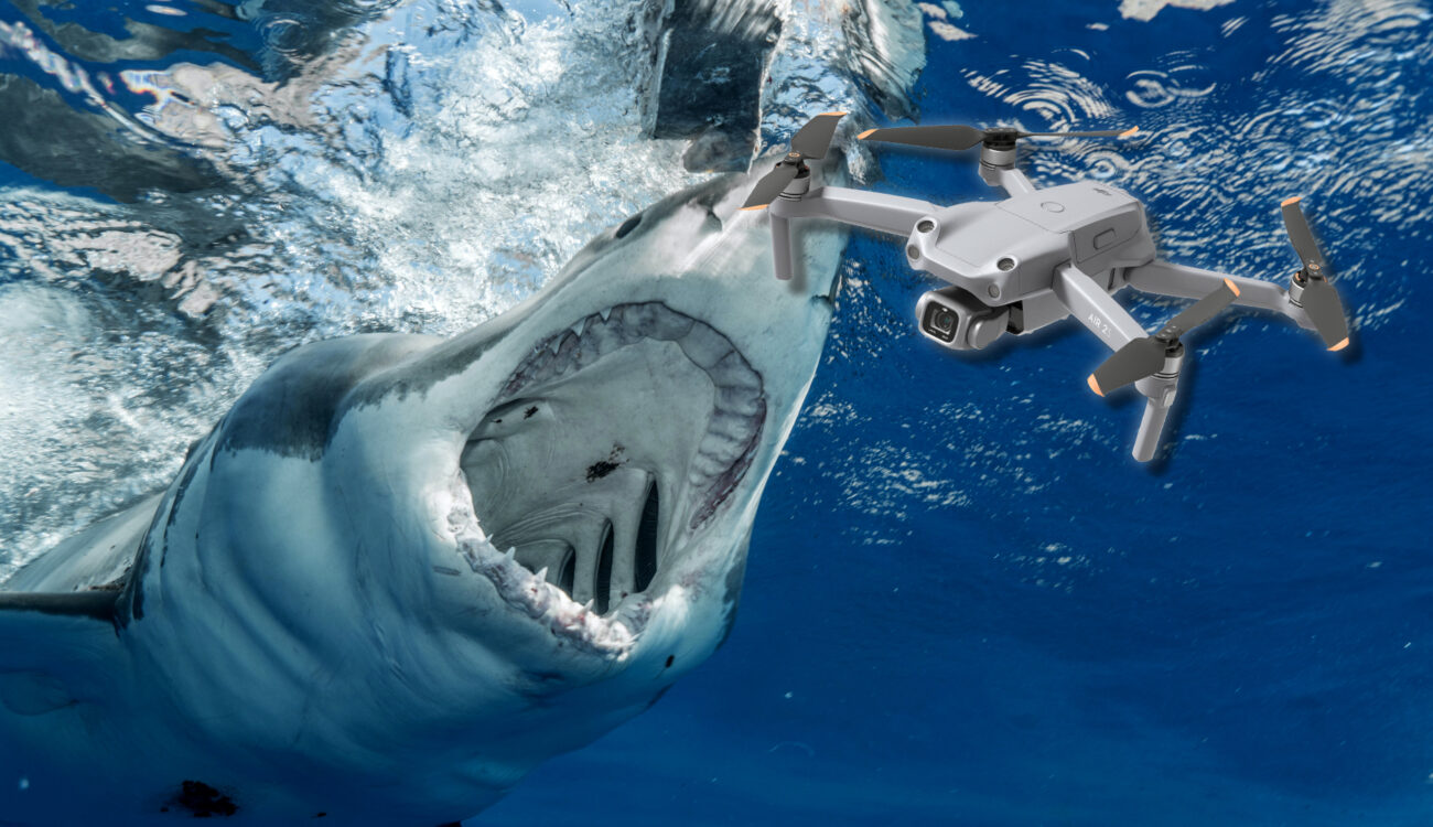 Drone Pilot Helps Rescue Fisherman Attacked by a Shark