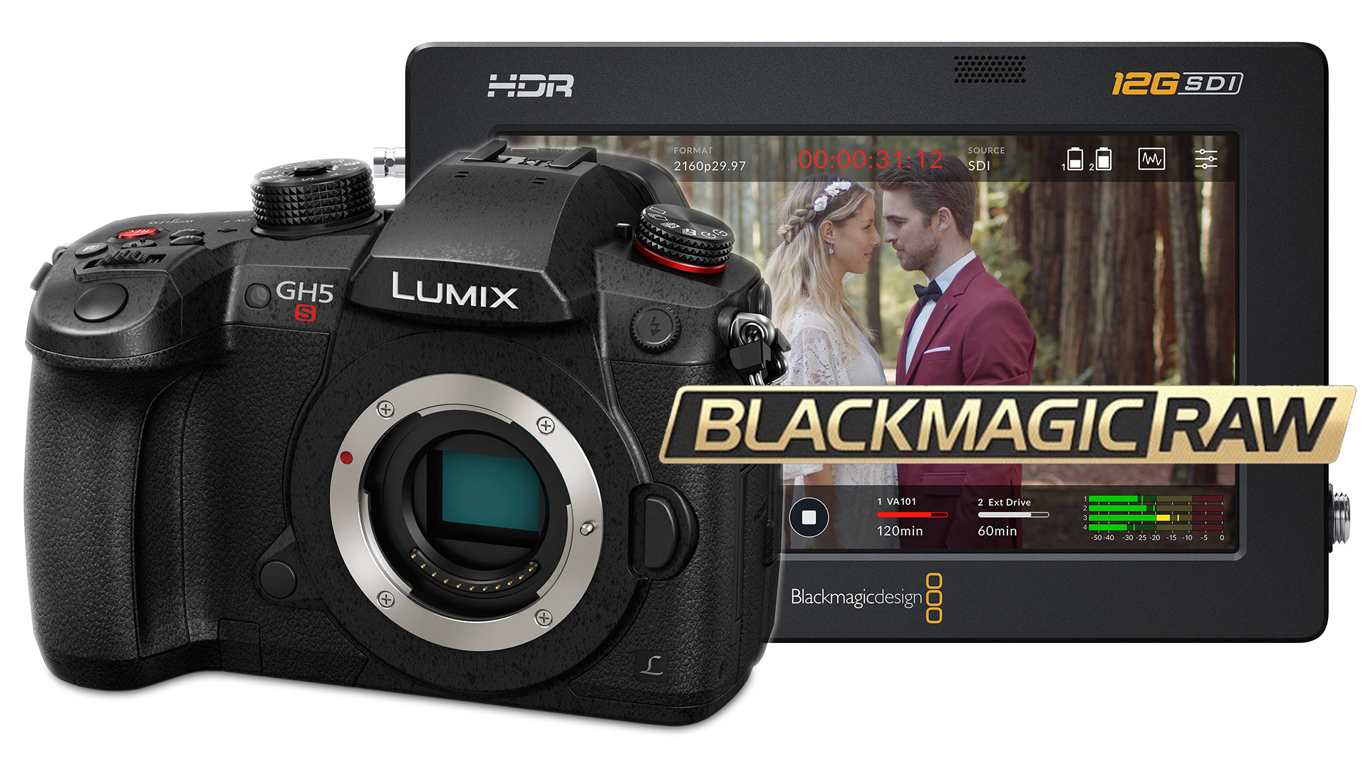 satelliet geweer Tweede leerjaar Panasonic LUMIX GH5S Firmware Update V2.2 Brings External Blackmagic RAW  Recording | CineD