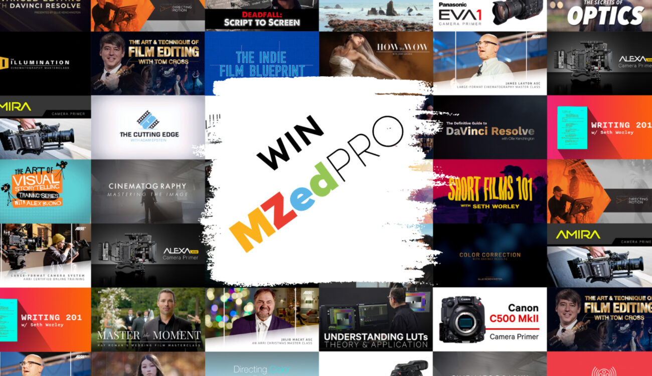 Win 3 x MZed Pro Subscription Worth $349 in our Raffle