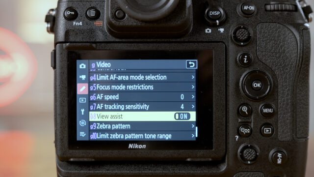 Nikon Z 9 View Assist 