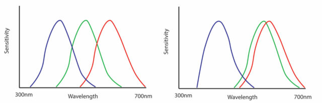 color-theory-filmmaking-camera-vs-human-wavelengths