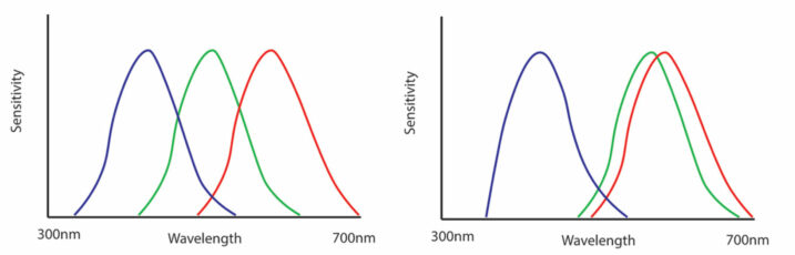 Color Theory – the Lifeblood of Filmmaking | CineD