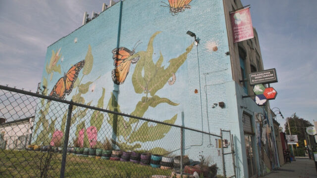 Philadelphia Insectarium & Butterfly Pavilion - IMDb TV Bug Out Docuseries