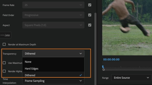 The export menu in Adobe Premiere Pro showing the transparency option for GIFs
