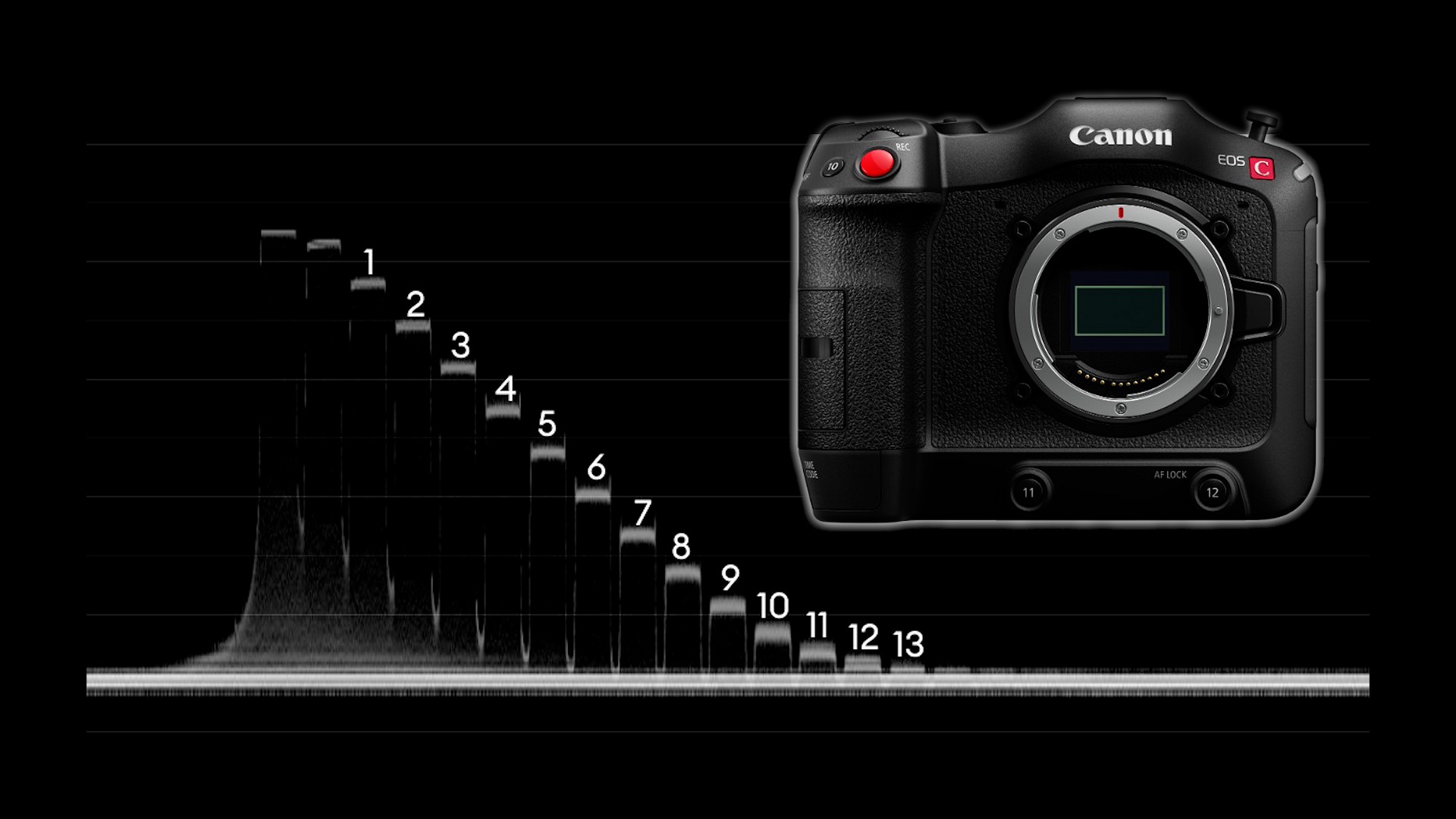 Canon EOS C70 Lab Take a look at with the RAW replace: Rolling Shutter, Dynamic Vary and Latitude