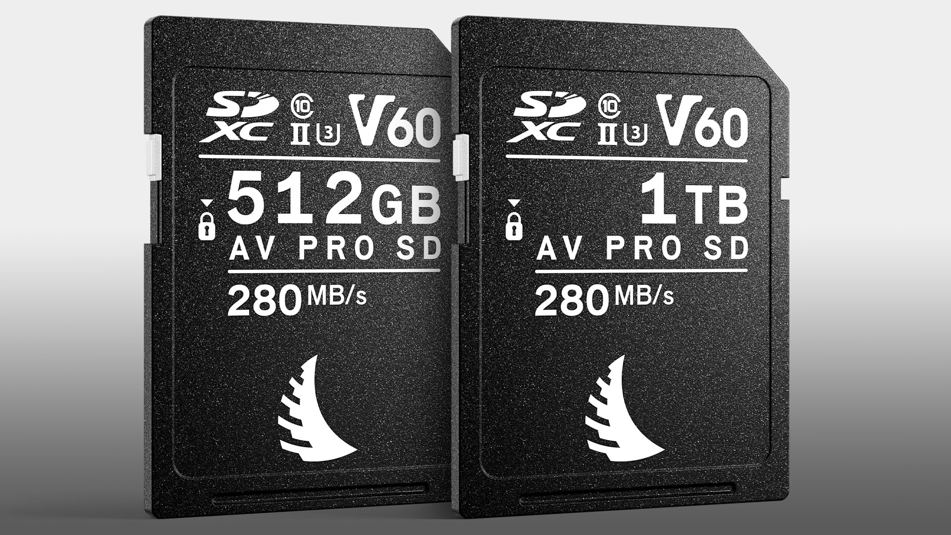 Angelbird AVpro SDXC UHS-II V90 MK2 64GB carte SD pour camé