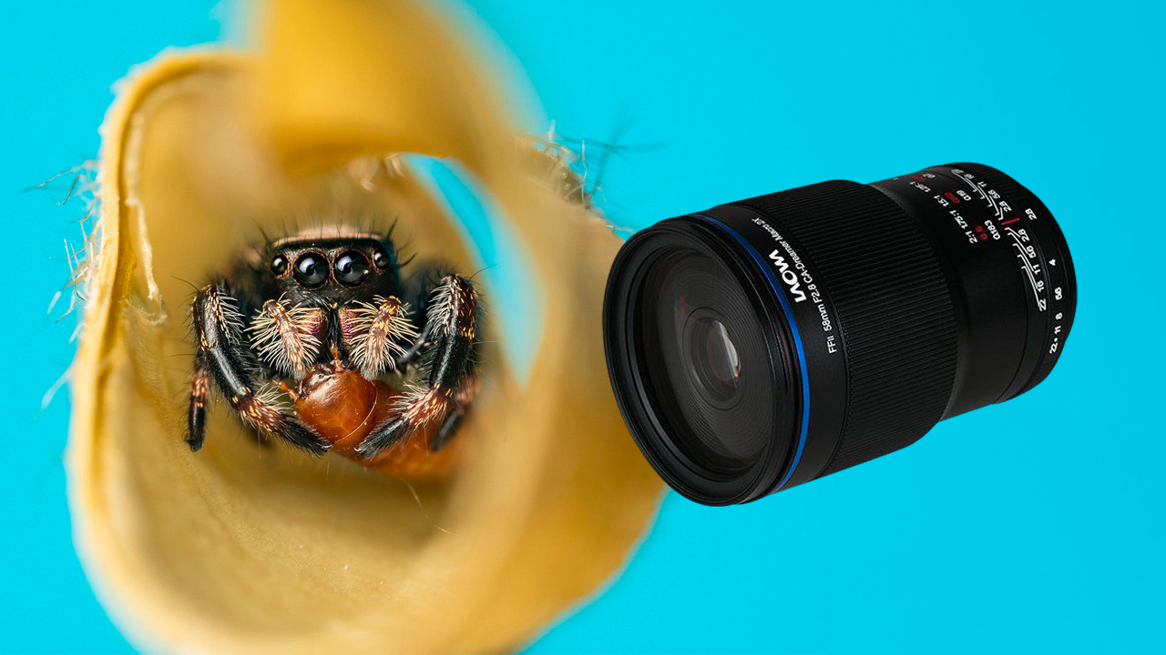 Laowa がミラーレス一眼用レンズ「Laowa 58mm F2.8 2X Ultra Macro APO」を発売