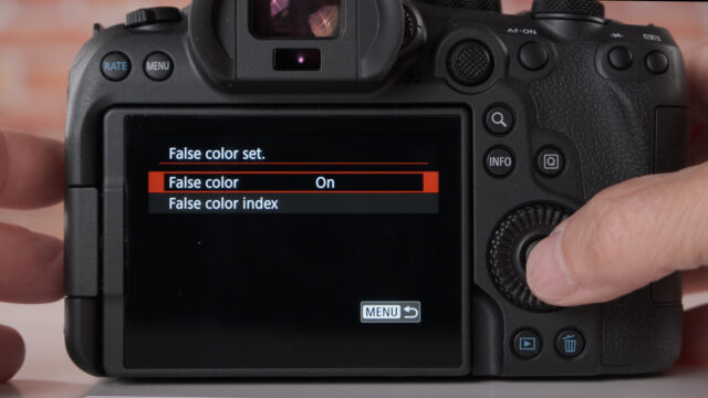 Mirrorless first. False color setting