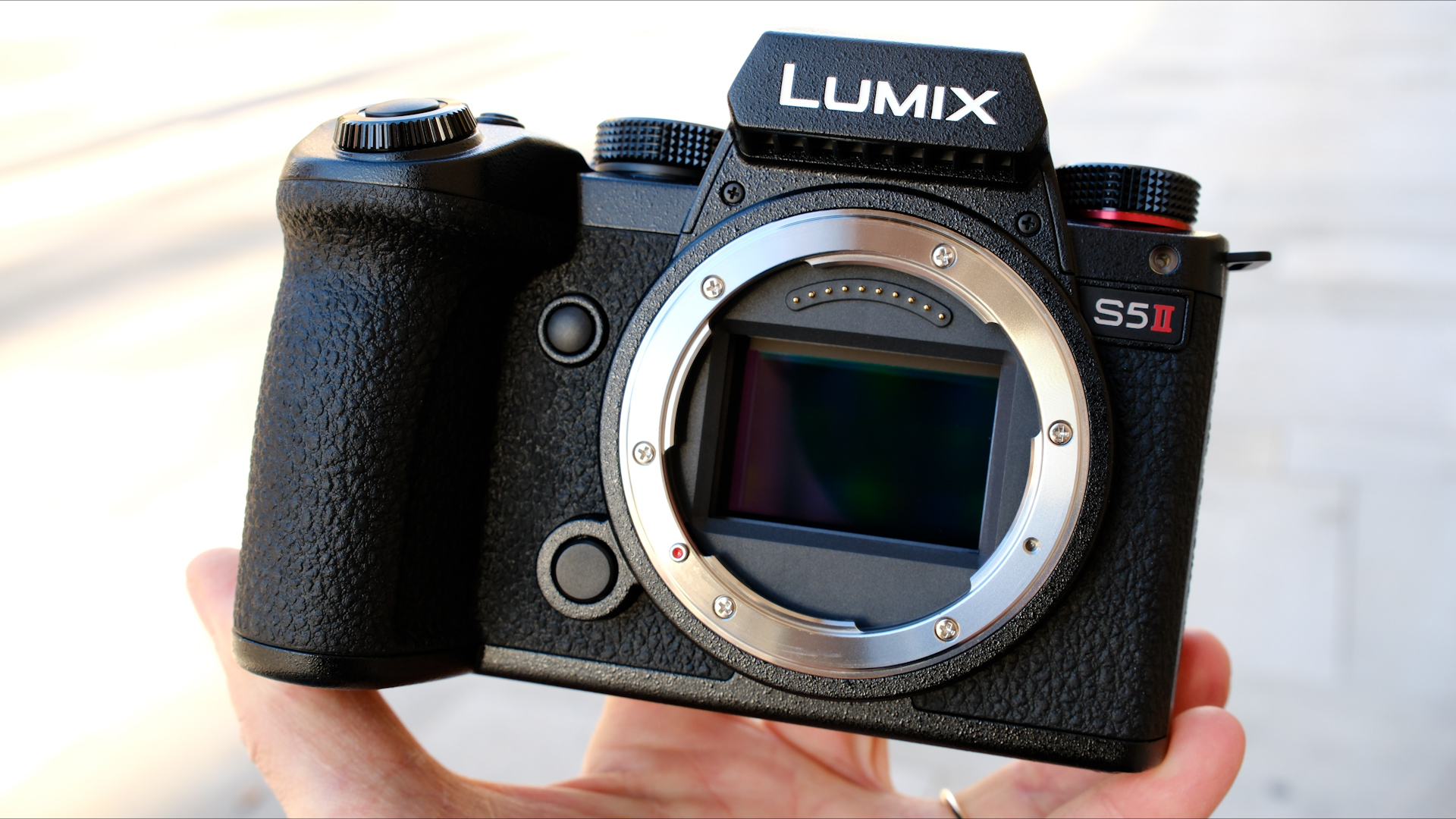Why the LUMIX S5 II is So Great for Manual Focus