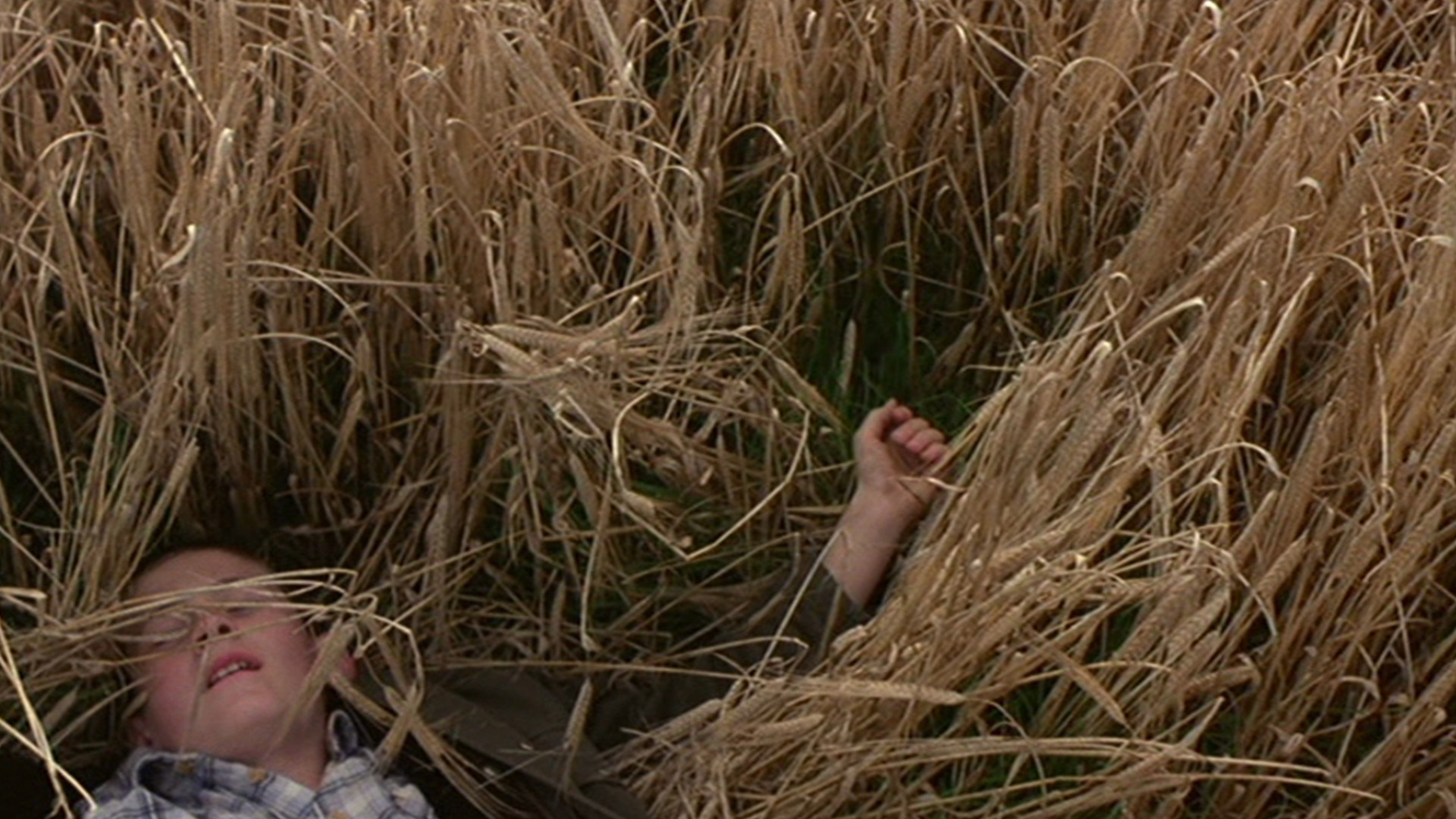 A boy lies in the grass, cropped out by half