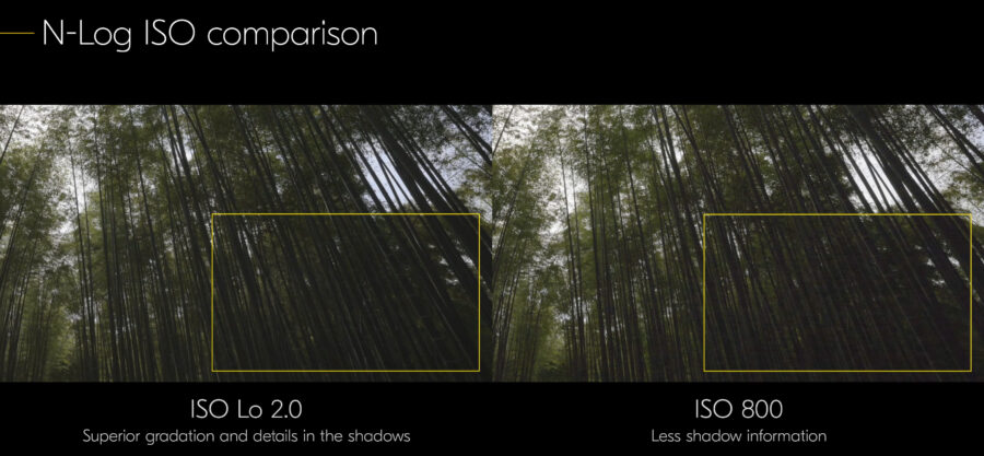 N-Log ISO Lo 2.0 vs ISO 800 comparison on Nikon Z 9