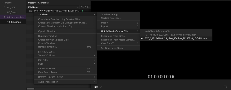 Linking reference video file to the timeline