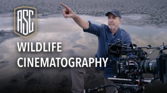 The ASC Wildlife Cinematography Course – New, Free, and Exclusive MZed Online Workshop
