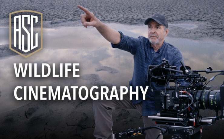 The ASC Wildlife Cinematography Course – New, Free, and Exclusive MZed Online Workshop