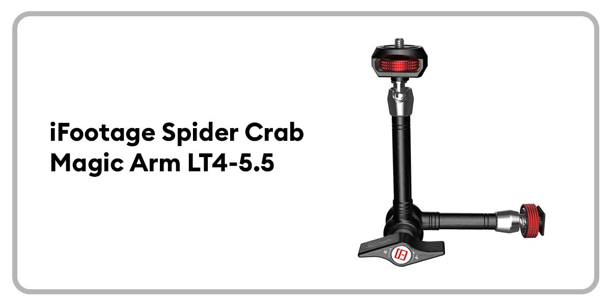 iFootage Spider Crab