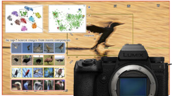 Panasonic Develops Image Recognition AI - Future Camera Innovation?