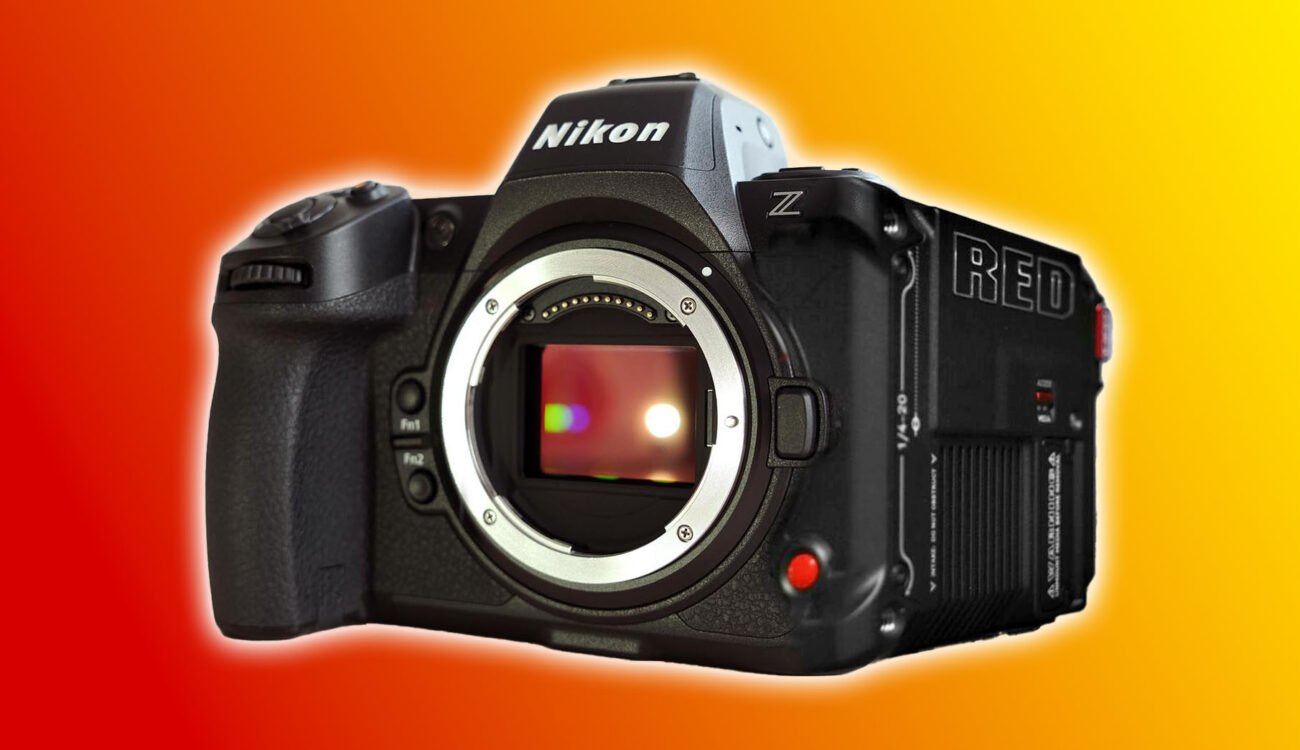 Cannibalism, Segmentation, and the RED-Nikon Acquisition Drama