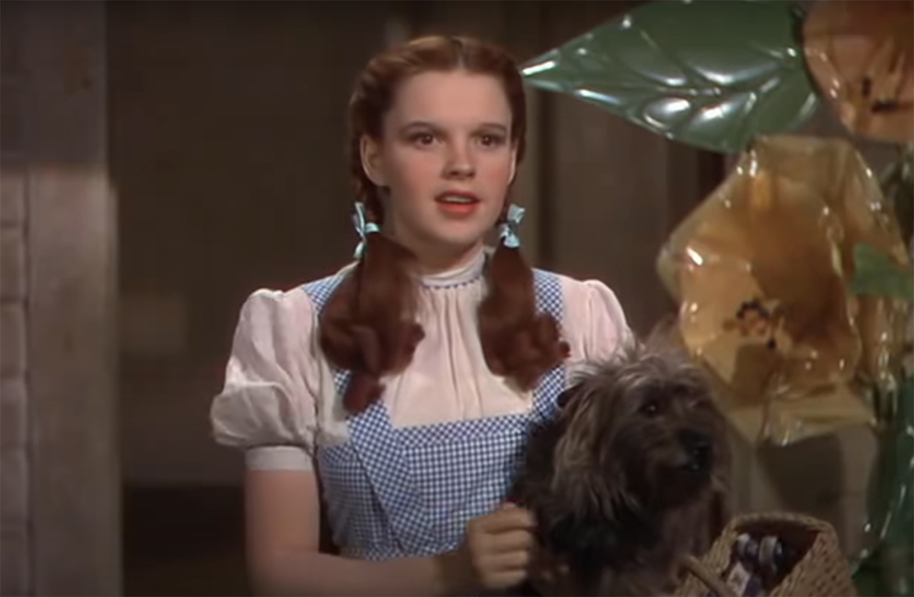 Technicolor look - Wizard of Oz is famous for it