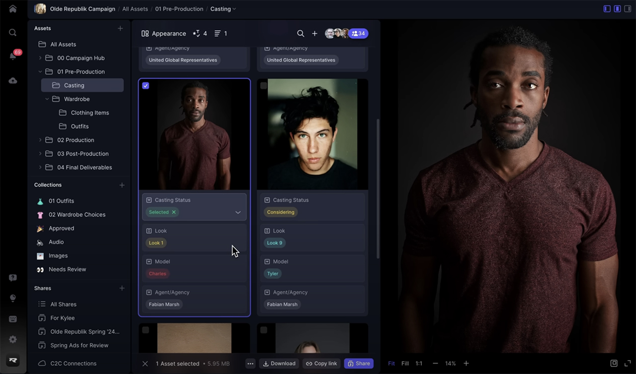Frame.io Version 4 introduced - customization of the meta data for a casting process