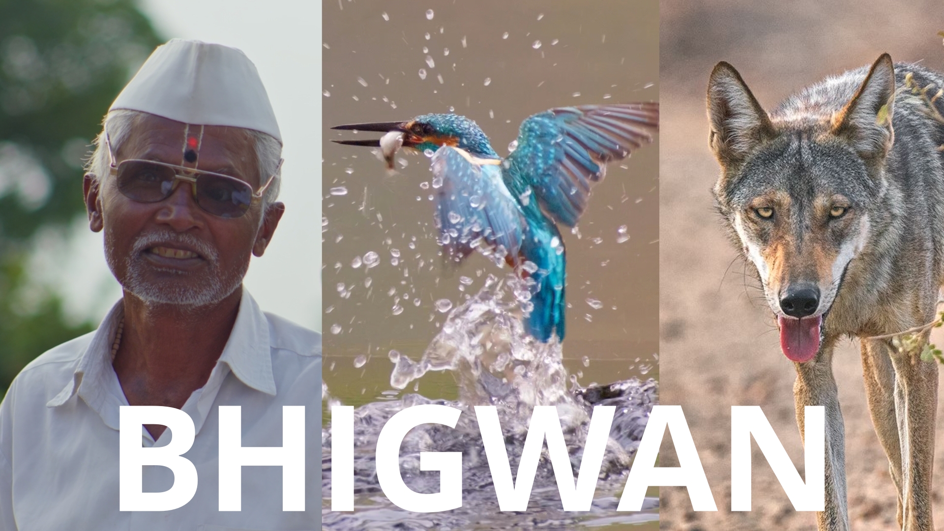 Bhigwan - An Indian Wildlife Documentary Shot on LUMIX G9 II | CineD