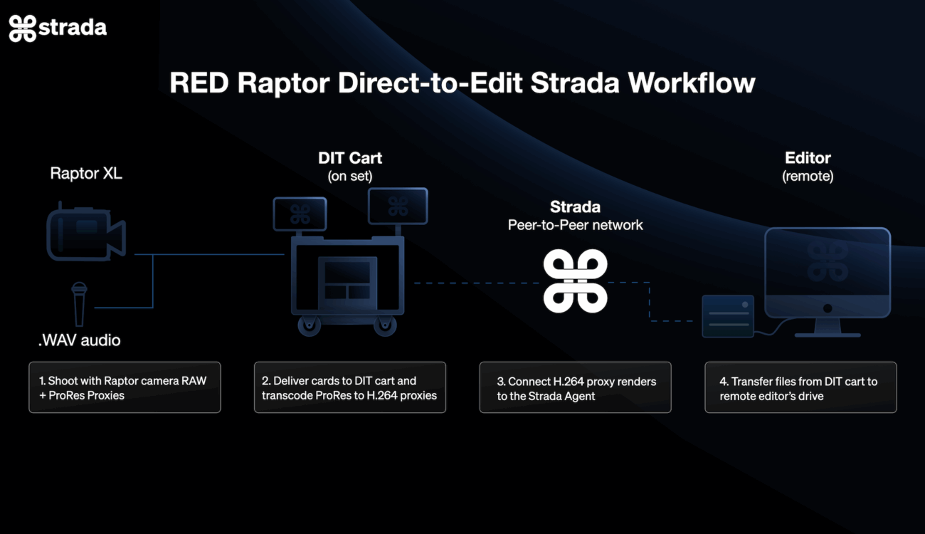 Workflow diagram, RED Raptor