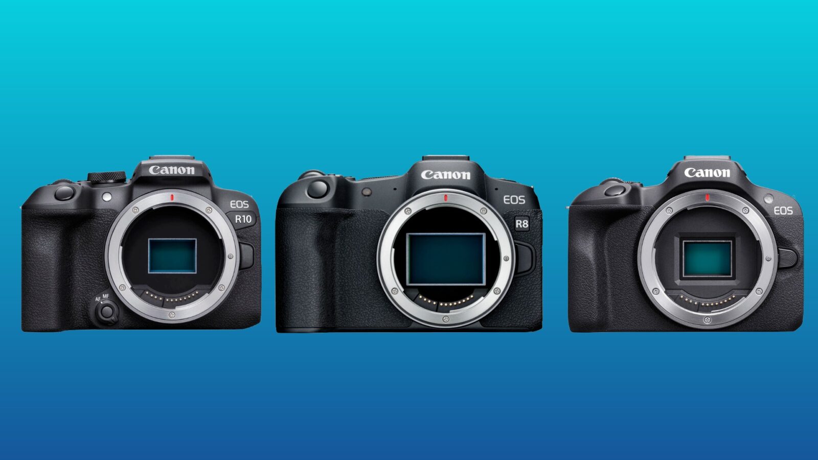 Canon Firmware Update for EOS R1, R100, R5 Mark II, R3, R10, R50V, R8 ...