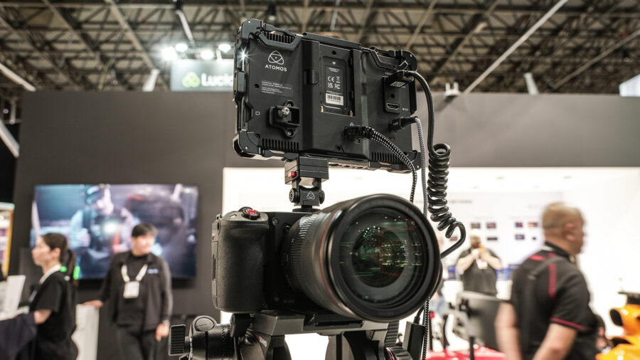 Atomos Shinobi 7 II on Canon EOS C50