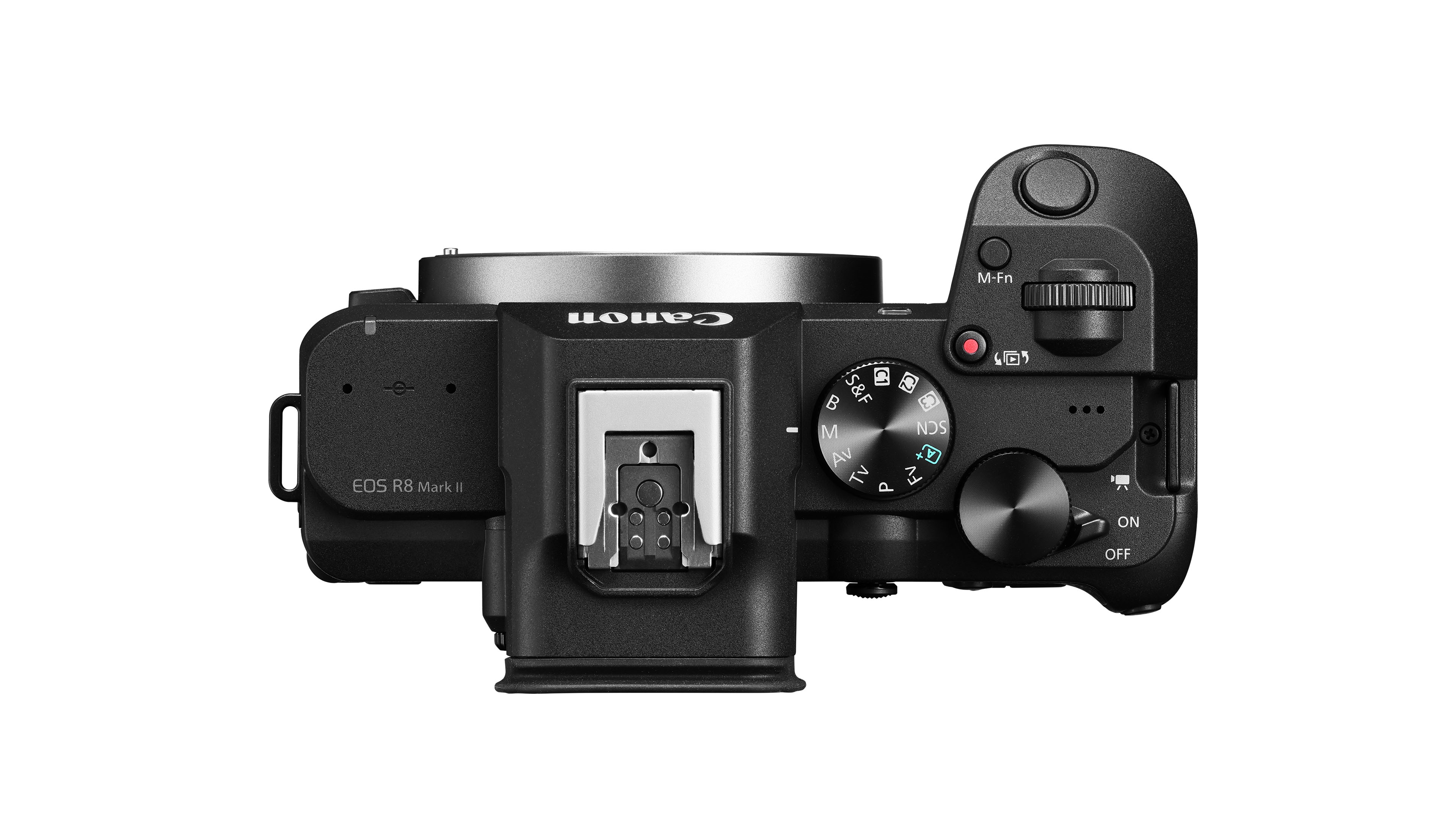 Canon EOS R8 Mark II Announced – 24.2MP Full-Frame, IBIS, and